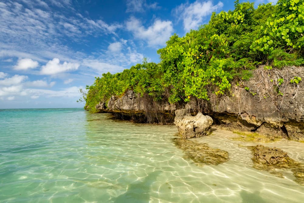 Île aux Aigrettes